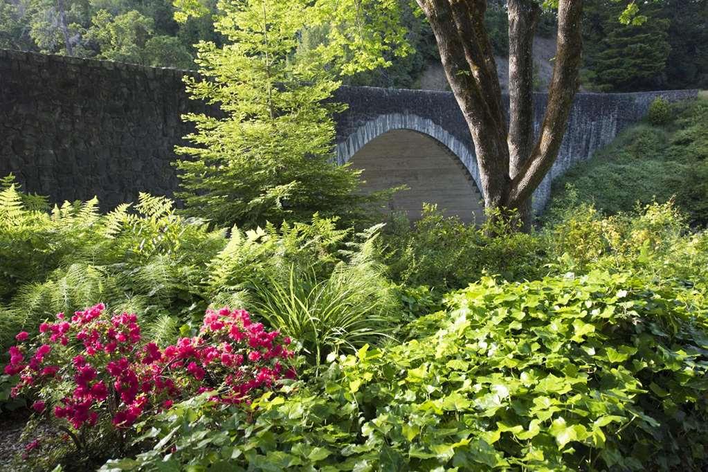 Benbow Historic Inn Garberville Dış mekan fotoğraf